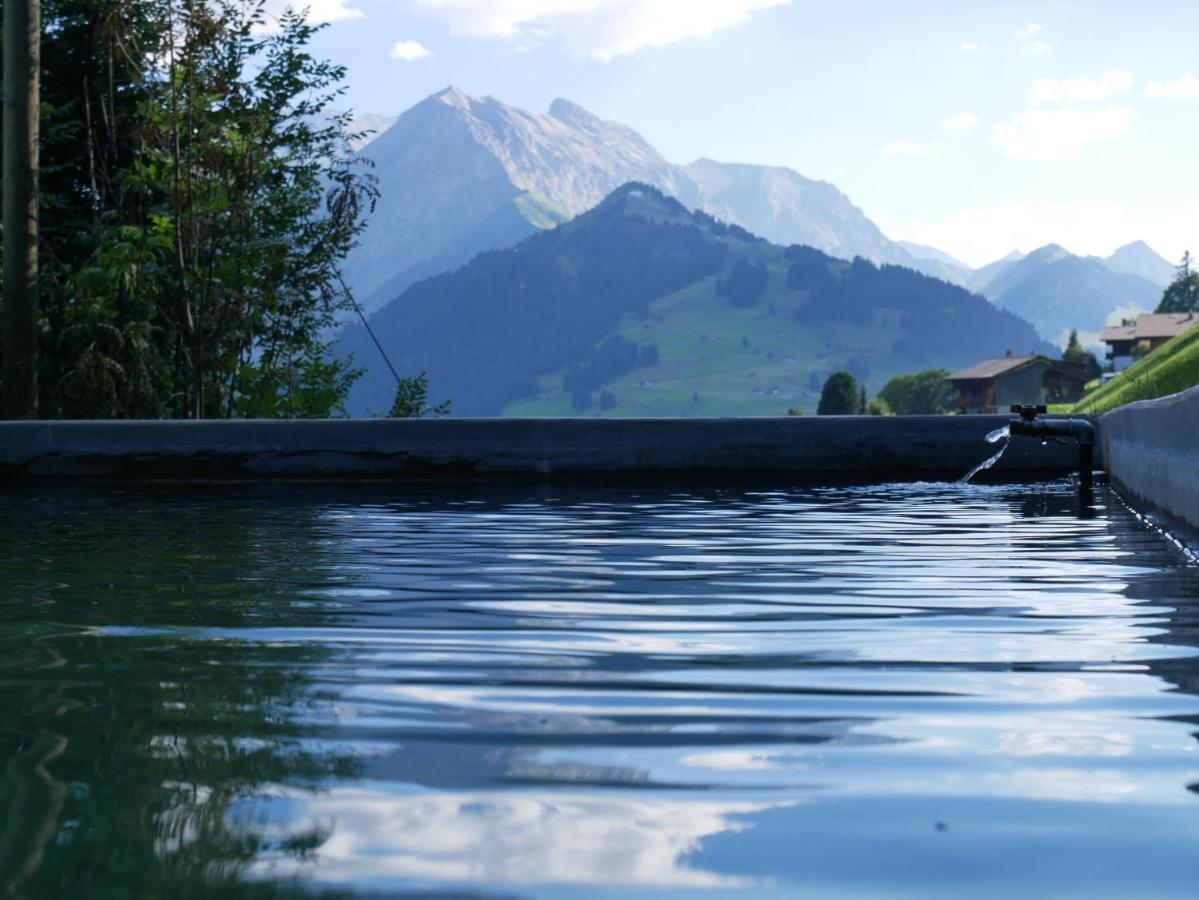 Chalet Sonnenheim, Wohnung Mit Panoramafenster Adelboden Exterior photo
